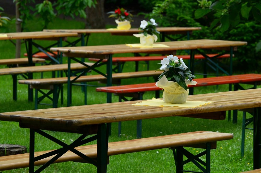 Dine Out photo
